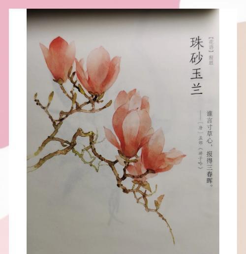 3月17日对应的花语是什么？