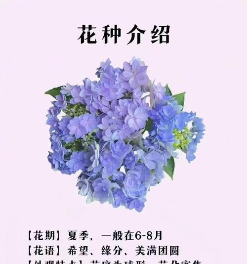 3月17日对应的花语是什么？