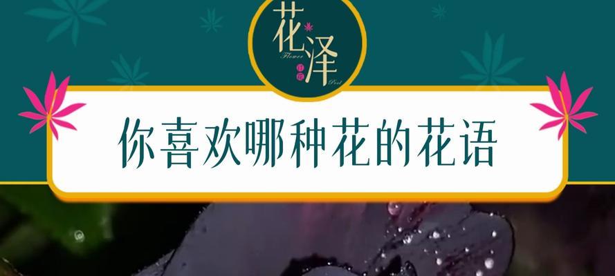 哪种花的花语含有讽刺意味？