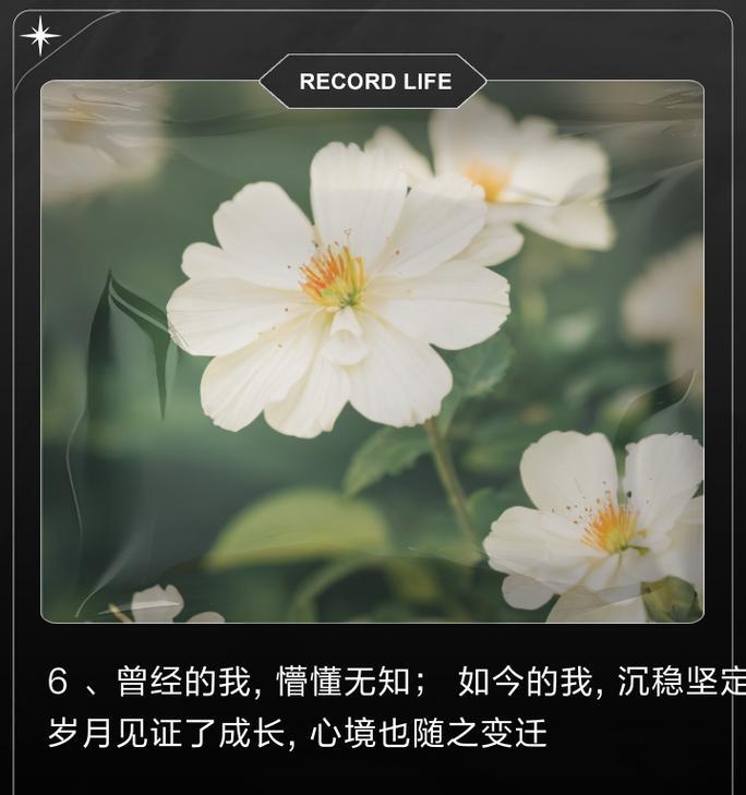 懵懵懂懂的花语代表什么？