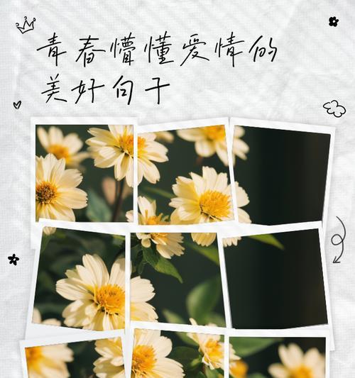 懵懵懂懂的花语代表什么？