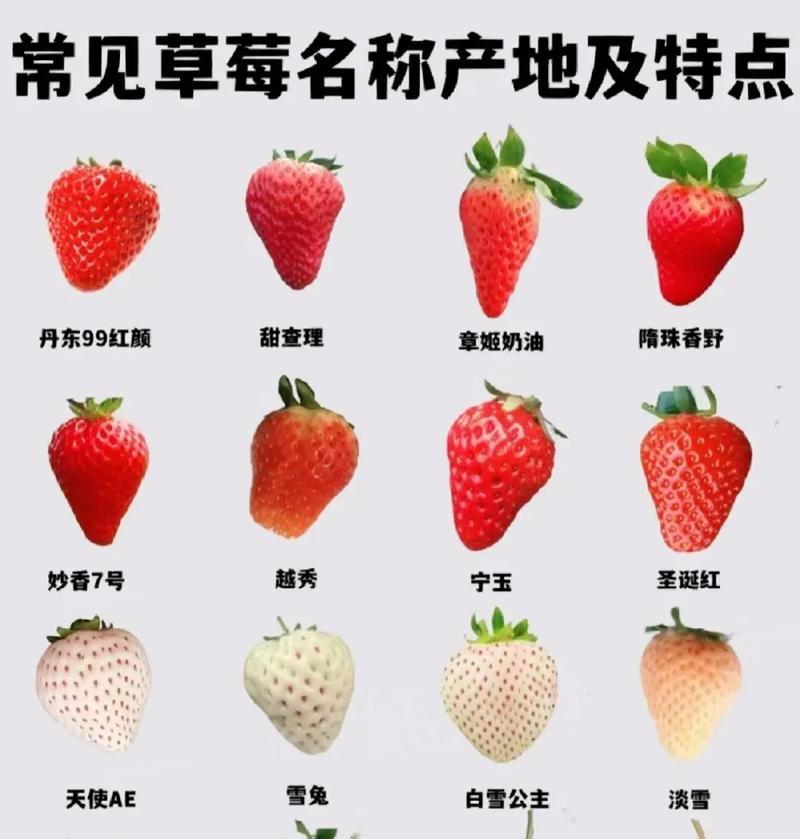 草莓花语有哪些？不同颜色代表什么？