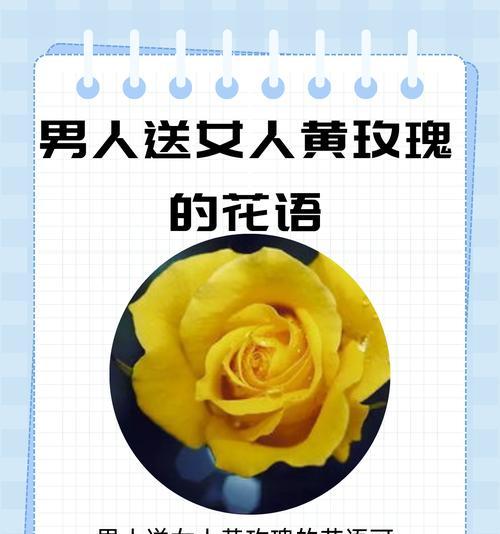 玫瑰花的花语对女孩有何启示？