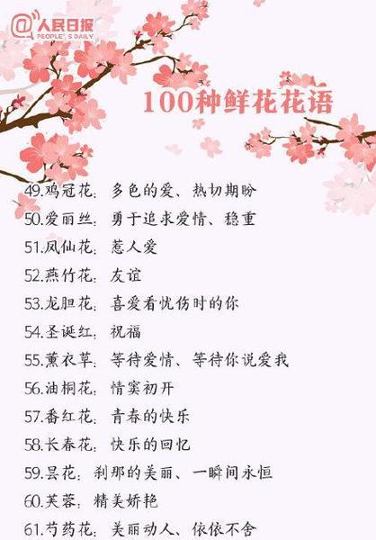 未见过的花语代表什么含义？