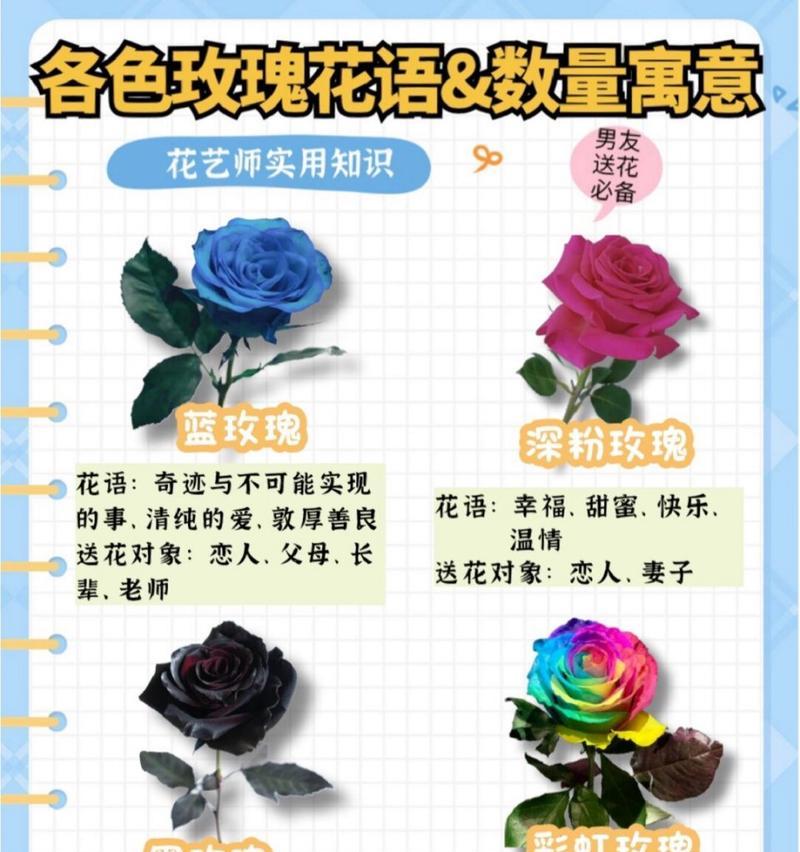 开心花的花语和寓意是什么？送花时应注意什么？