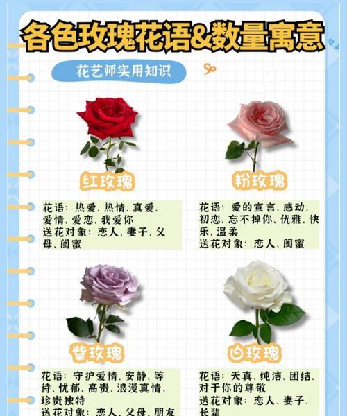 开心花的花语和寓意是什么？送花时应注意什么？