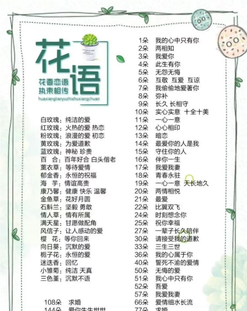 道具美丽的花语是什么？这种花代表了什么意义？