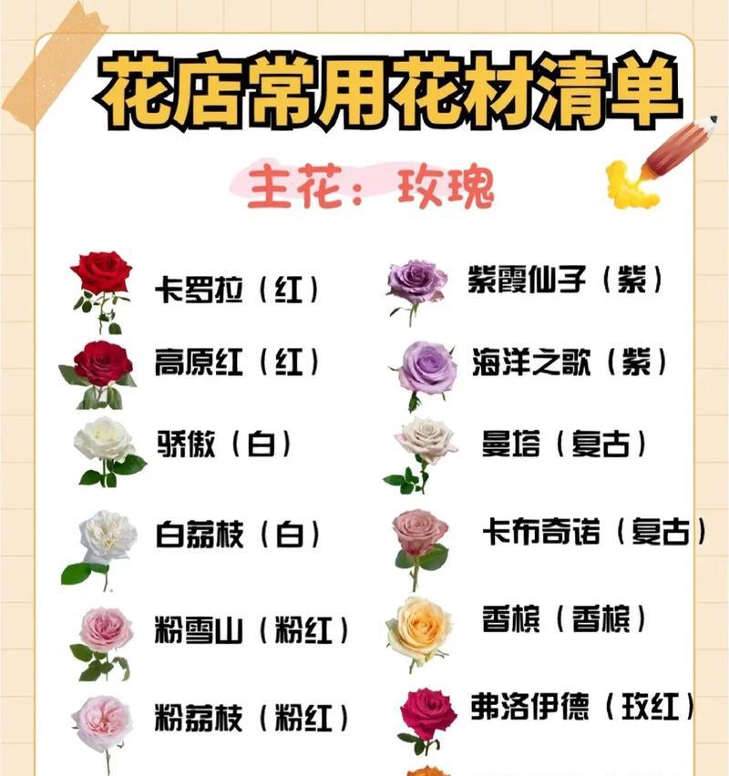 道具美丽的花语是什么？这种花代表了什么意义？