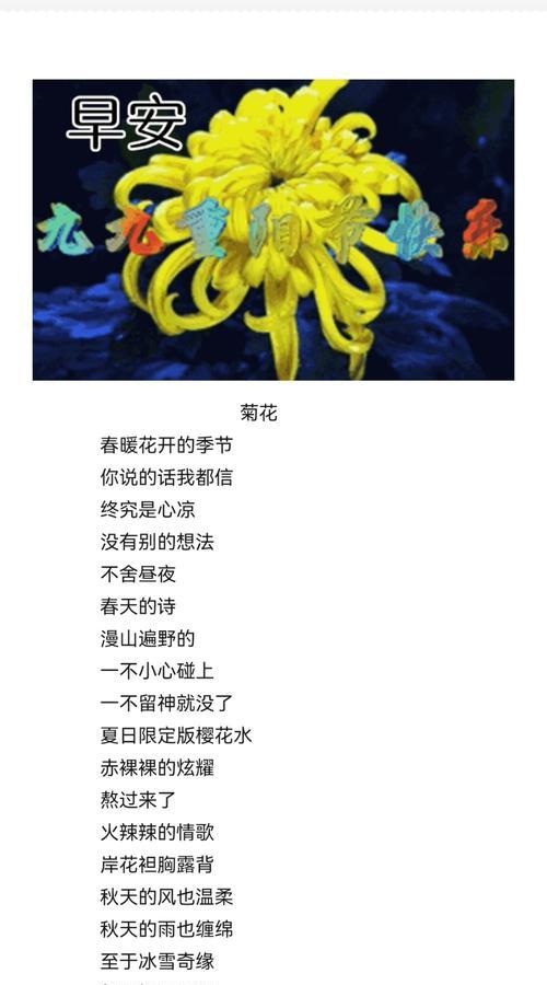 花语没结果却又放不下是什么意思？如何理解这种矛盾情感？