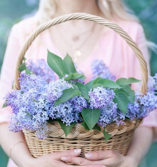 哪种花的花语代表永恒？永恒的花语有哪些？