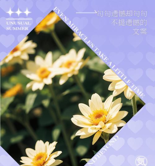 可惜遗憾的花语代表什么？遗憾的花语有何深意？