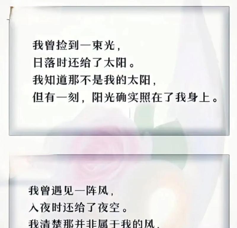 可惜遗憾的花语代表什么？遗憾的花语有何深意？