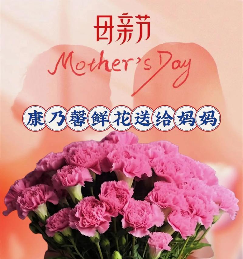 哪种花代表认错？给媳妇送什么花表示歉意？