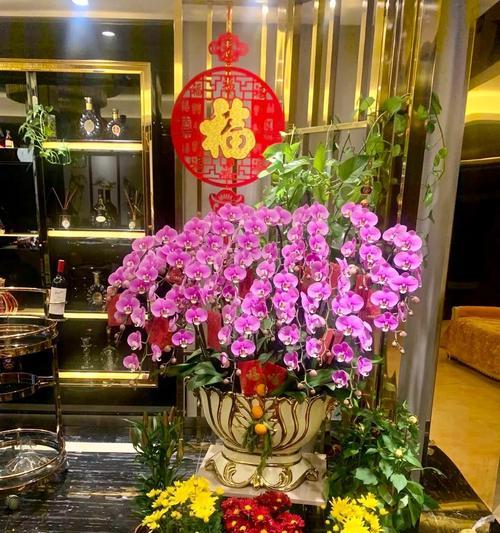 白紫兰花的花语与寓意是什么？白紫兰花代表了哪些美好寓意？