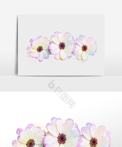 白紫兰花的花语与寓意是什么？白紫兰花代表了哪些美好寓意？