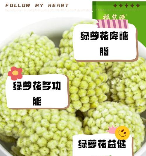 绿萝的花语有哪些？
