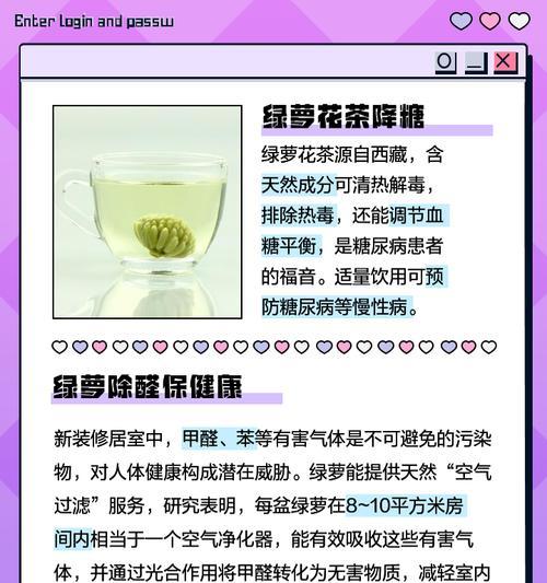 绿萝的花语有哪些？