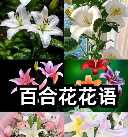 哪种花代表清澈的花语？它传递了哪些情感？