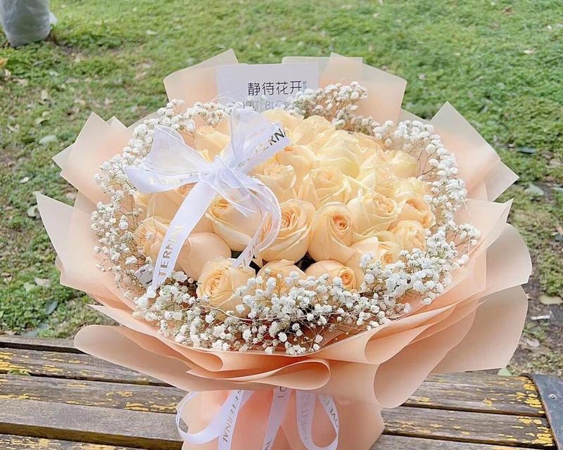 姐姐为你开香槟玫瑰花的寓意是什么？它传递了怎样的情感？