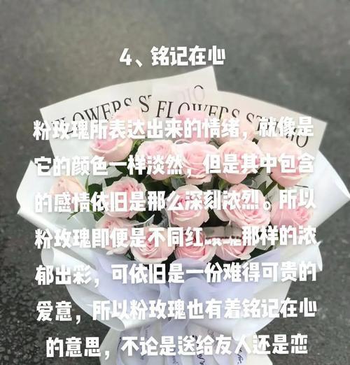 渐变粉玫瑰的花语是什么意思？粉色玫瑰传递的情感有哪些？