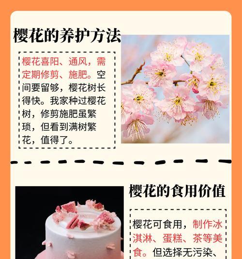 故乡的樱花开了花语是什么？这种花语象征了什么？