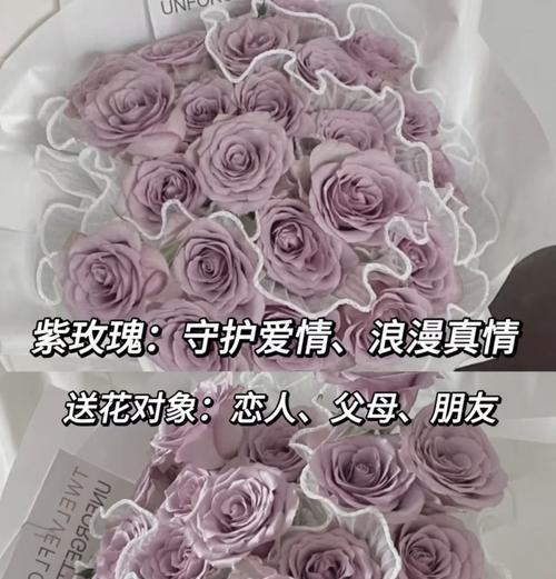 不同颜色玫瑰花的花语和寓意有何区别？