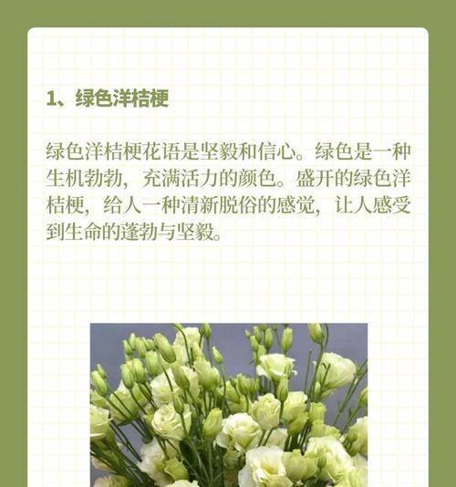 洋桔梗的花语是什么意思？它代表了哪些情感？