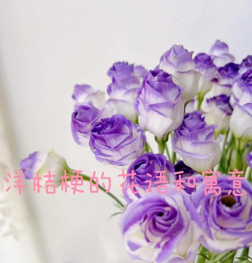 洋桔梗的花语是什么意思？它代表了哪些情感？