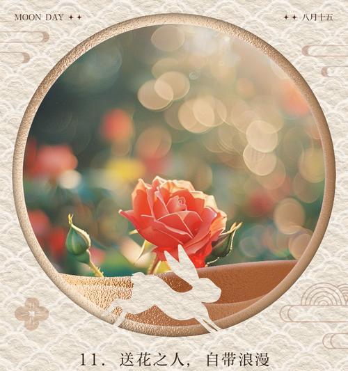 手捧花选择花语是什么意思？芙蓉花语是什么？