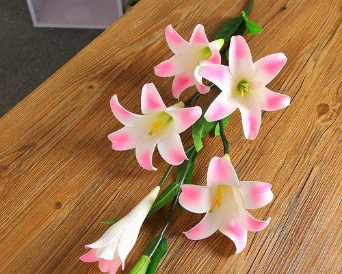 小百合花的花语是什么？清香小百合有何特别含义？