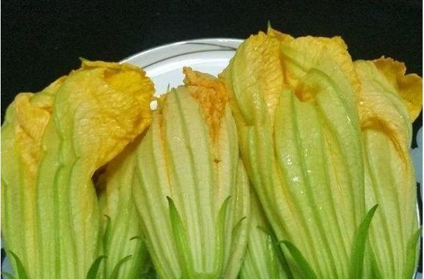 南瓜属于双子叶植物吗？它的分类特点是什么？