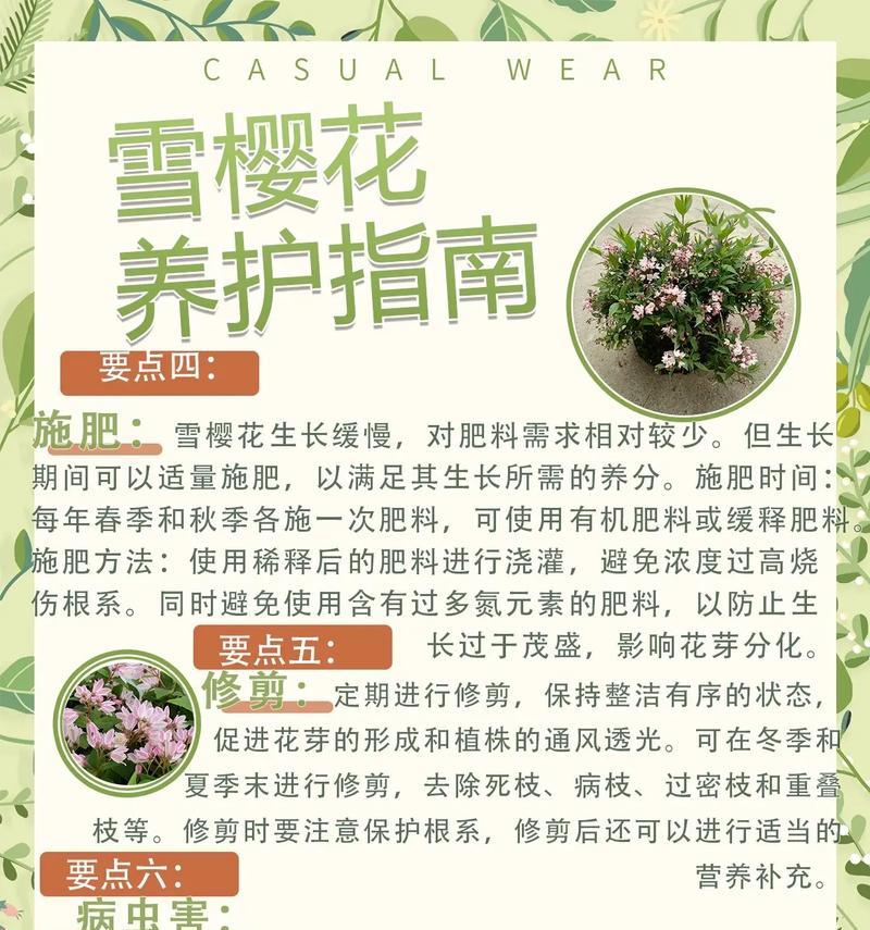 林花语乔雪的含义是什么？