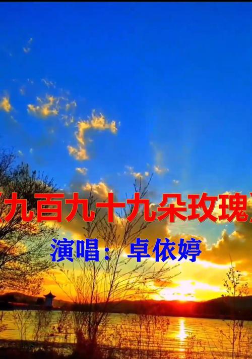 十九根玫瑰花有何含义？它传递了什么信息？