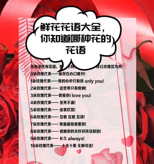 最纯真的玫瑰花语是什么？它象征着怎样的情感？
