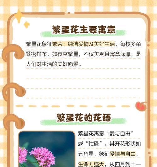哪种花的花语最受欢迎？最受欢迎的花语有哪些？