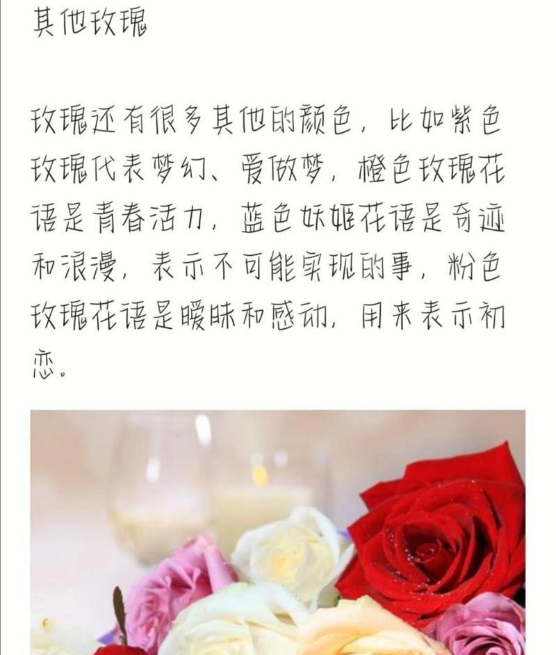玫瑰花语守护语是什么意思？玫瑰如何表达守护之情？