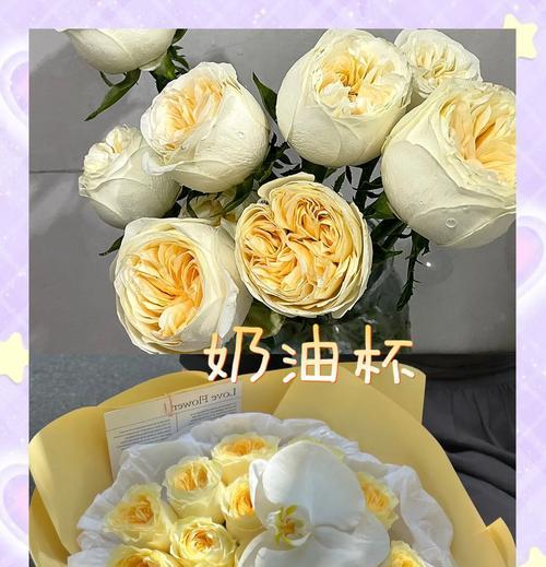 玫瑰花语守护语是什么意思？玫瑰如何表达守护之情？