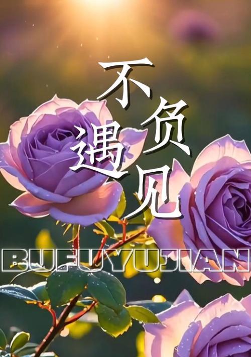 哪种花代表“不负遇见”？