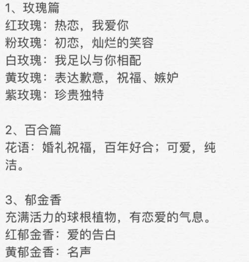 莫斯科花店宣传花语是什么？如何传达爱意？