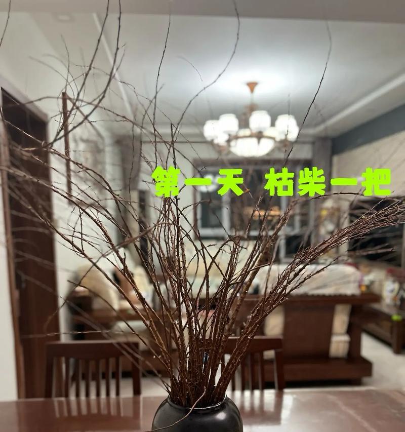 道具枯树在花语中意味着什么？