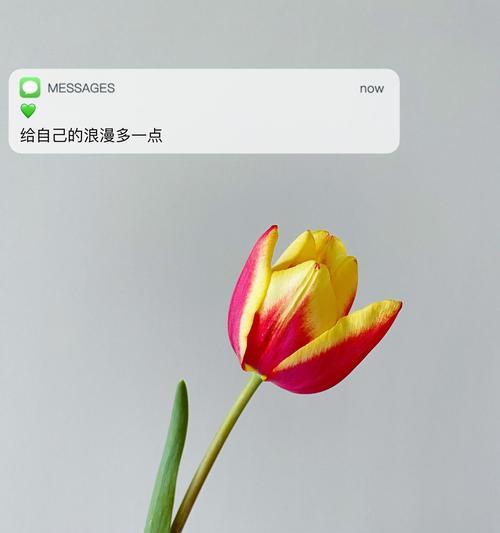 什么花语代表劳动意义和价值？哪种花代表了劳动者的荣耀？