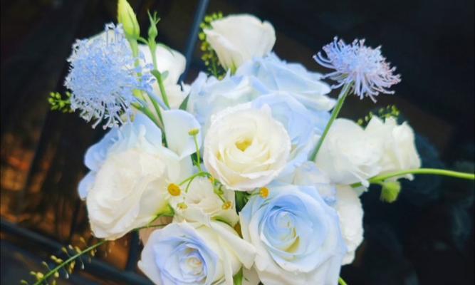 玫瑰手捧花的花语有何不同？替代品有哪些选择？