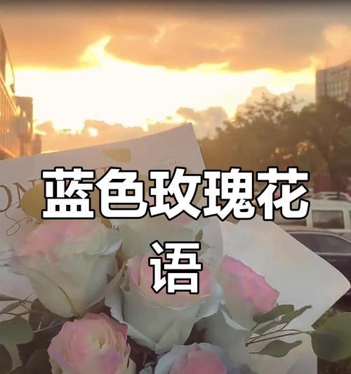 蓝玫瑰搭配洋桔梗的花语是什么？它传达了怎样的情感？