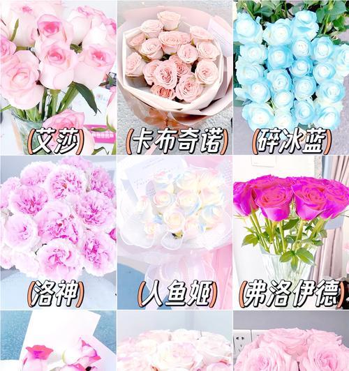 朋友离婚时应该送哪种玫瑰花？哪种玫瑰花语适合表达安慰？