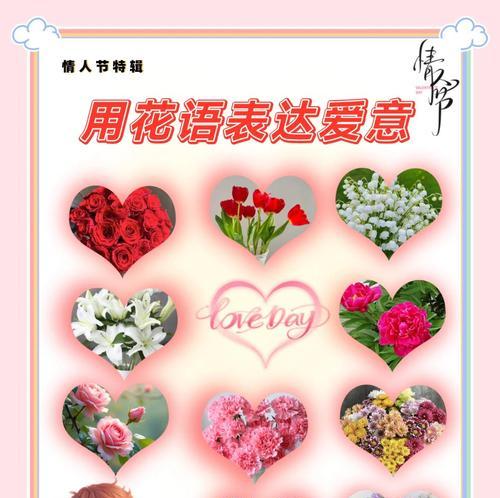 藏于心底的爱意古代花语是什么？如何用古风花语表达？