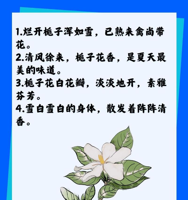 橘子花与栀子花的花语有何不同？