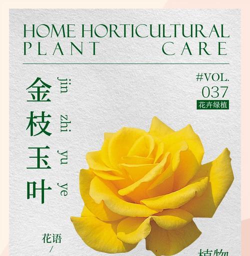 玫瑰的刺和毒性在花语中象征着什么？