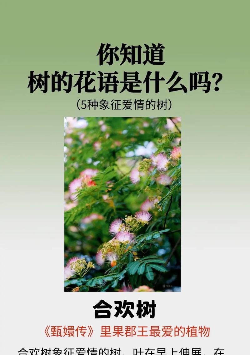 哪些花语能够深入人心？