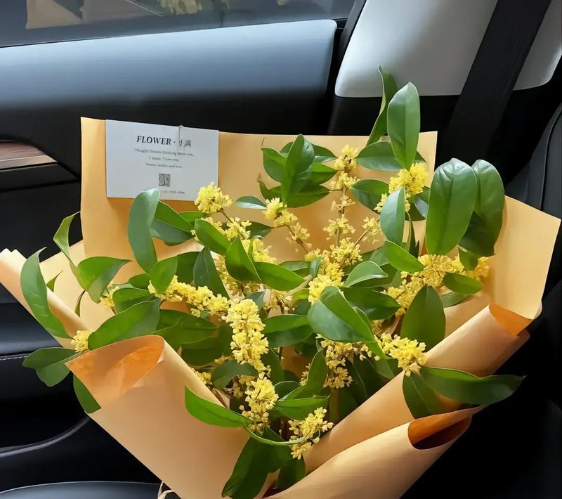 桂花味韭菜的花语有何特别之处？