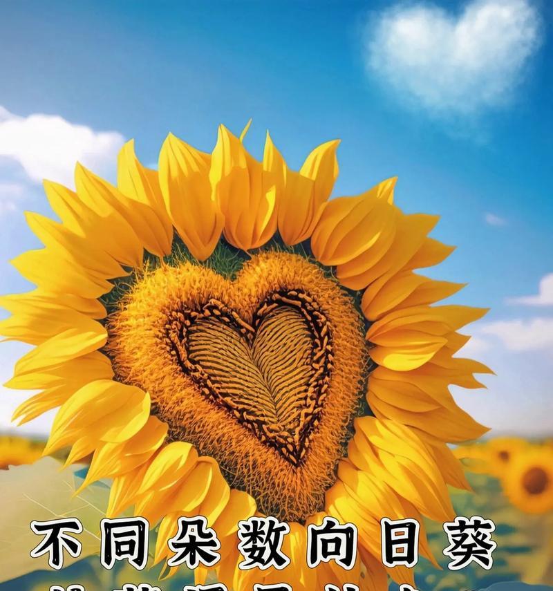 夸妈咪好看的花语是什么？它代表了什么？